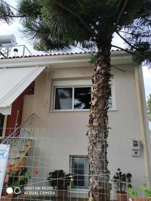 Grecos apartment Preveza Exterior foto